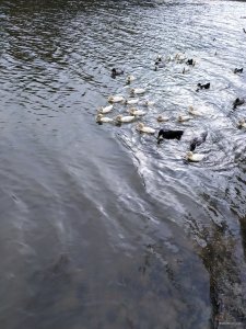 IMG_20200904_162602.jpg
