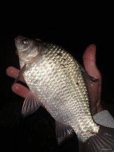 IMG_20200904_225409.jpg