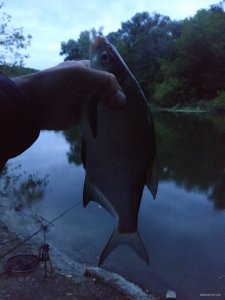 IMG_20200905_053714.jpg
