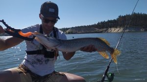 IMG_20200830_095739[1].jpg
