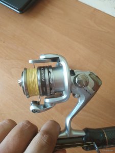 IMG_20200802_072436.jpg
