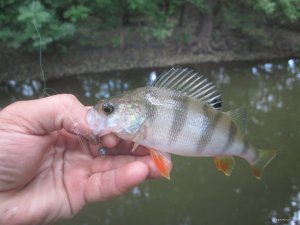 IMG_3469.JPG