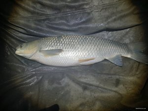 20200809_205043.jpg
