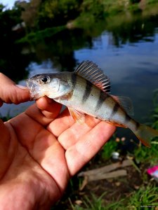 20200906_161203.jpg