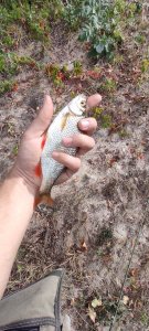 IMG_20200906_145512.jpg