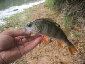 IMG_3476.JPG