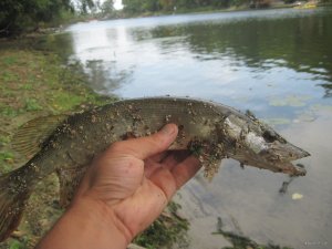 IMG_3488.JPG