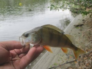 IMG_3490.JPG