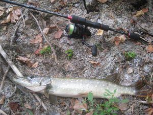 IMG_3495.JPG