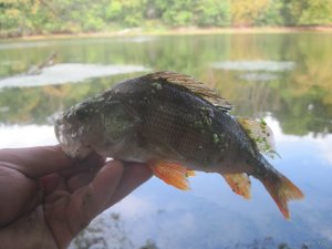 IMG_3499.JPG