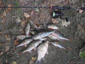 IMG_3507.JPG