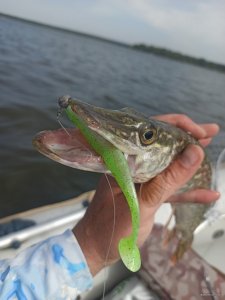 IMG_20200906_141357.jpg