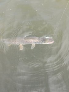 IMG_20200906_141148.jpg