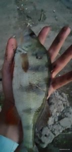 IMG_20200908_193020.jpg
