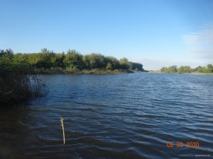 DSC07309.JPG