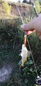 IMG_20200910_180830.jpg