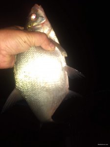 IMG_20200830_000848522.jpg