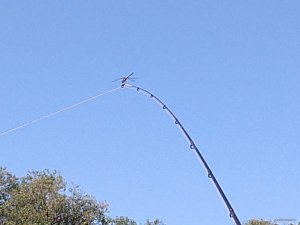 IMG_20200830_125439216.jpg