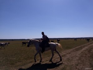 IMG_20200831_113803881.jpg