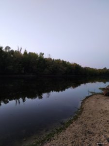 IMG_20200911_054307.jpg
