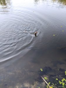 IMG_20200911_062454.jpg