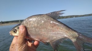 IMG_20200912_110623.jpg