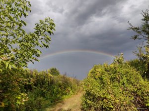 IMG_20200908_162102.jpg