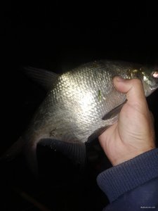 IMG_20200911_224656.jpg