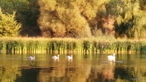 IMG_20200912_182444_301.jpg