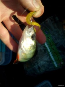 IMG_20200912_112316.jpg