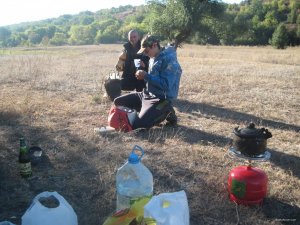 IMG_3515.JPG