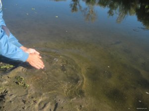 IMG_3526.JPG