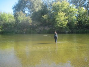 IMG_3536.JPG