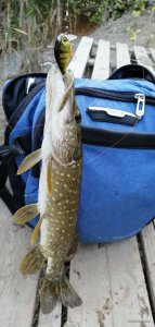 IMG_20200914_181939.jpg