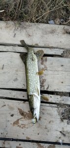 IMG_20200914_181957.jpg