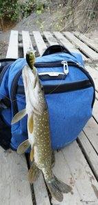 IMG_20200914_181934.jpg