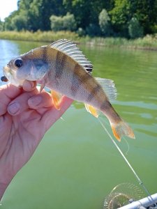 IMG20200913130859.jpg