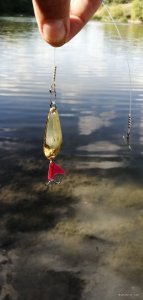 IMG_20200915_112556.jpg