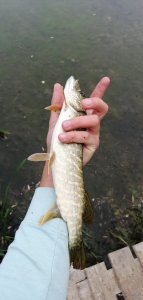 IMG_20200916_064225.jpg