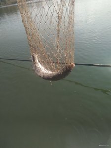 IMG_20200916_093804.jpg