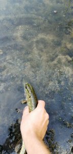 IMG_20200917_080719.jpg