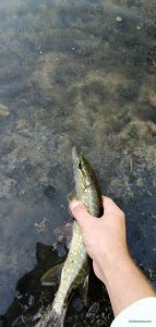 IMG_20200917_080722.jpg
