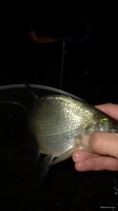 20200917_025347.jpg