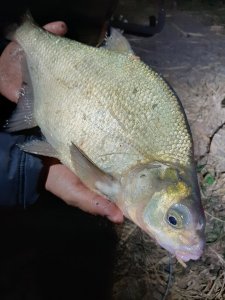 20200919_000044.jpg