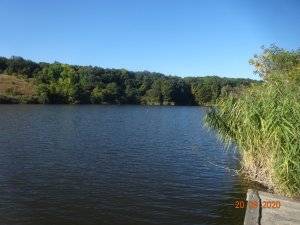 DSC07345.JPG