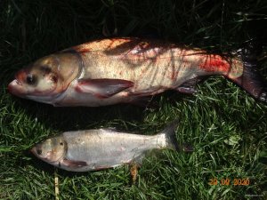 DSC07352.JPG