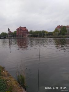 IMG_20200429_190502.jpg