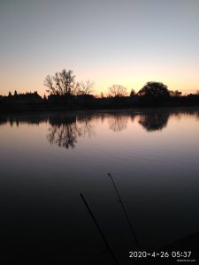 IMG_20200426_053713.jpg