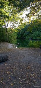 20200921_170233.jpg