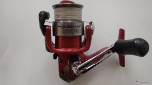 IMG_20200922_095524.jpg